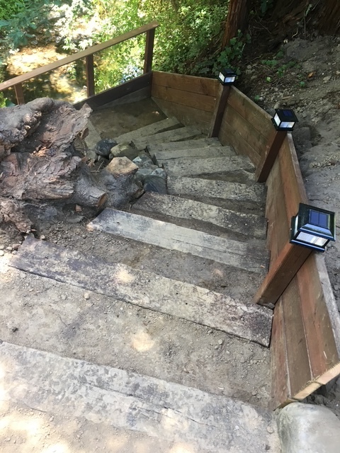 Hillside timber staircase with lighting
